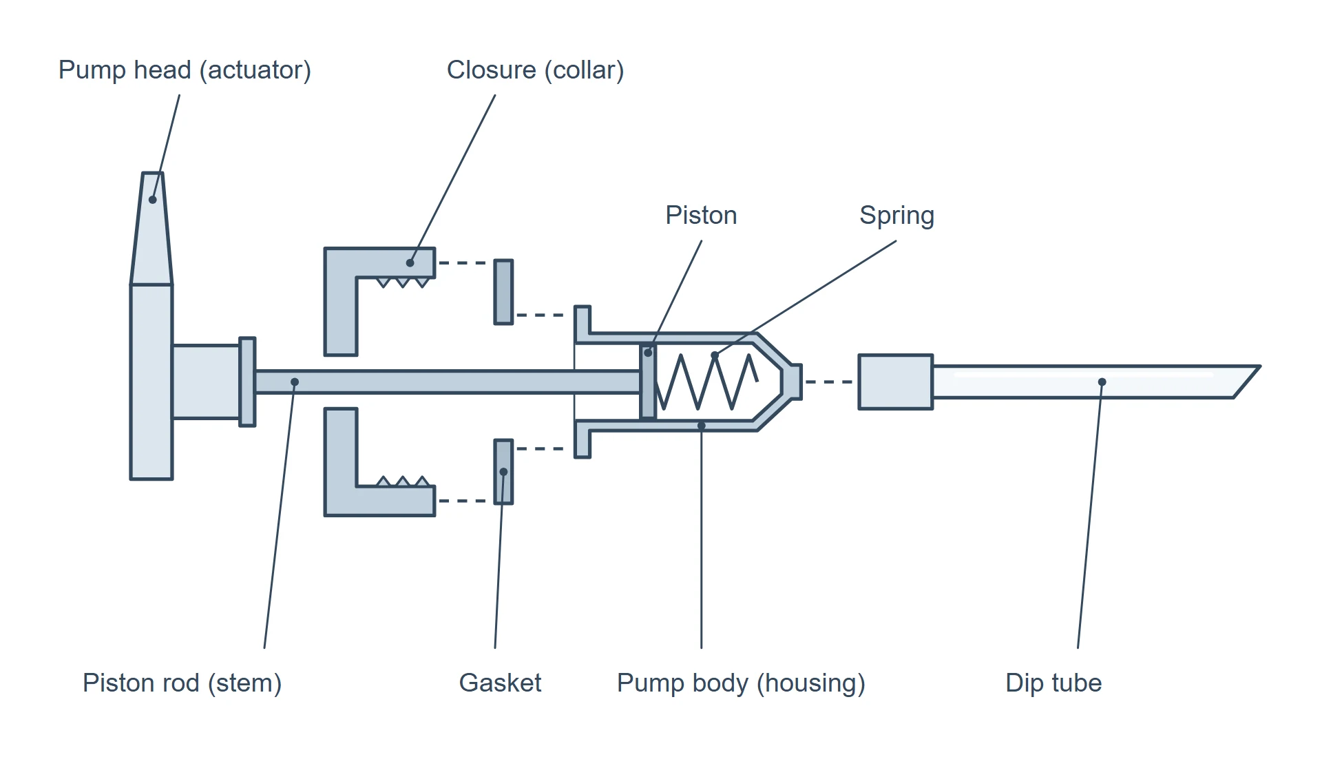 Exploded view of a lotion pump: pump head, closure, gasket, pump body with housing, spring, piston and piston rod, and dip tube.