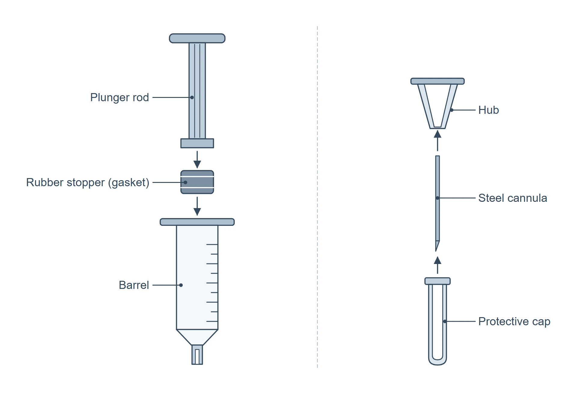 Two exploded views side by side: a three-part disposable syringe with barrel, plunger rod and rubber stopper (gasket), and a three-part injection needle with plastic hub, steel cannula and protective cap.