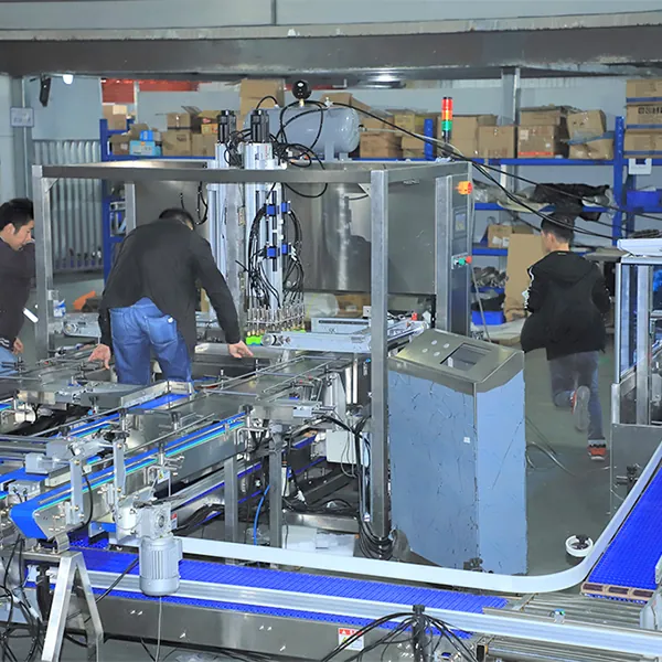 Cartesian Robot Case Packer AM-ZX150 - photo 2