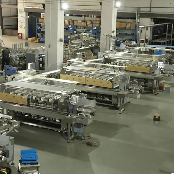 Automatic Counting Tray Packer AM-ZT300 - photo 2