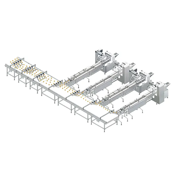 Automatic Sorting & Packaging Line AM-CF4
